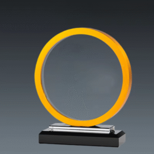 Round Crystal Shield