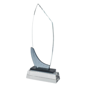 Executive Crystal Shield