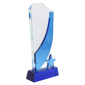 Blue Glass Star Award