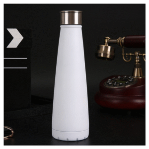 Stainless Steel Sports Bottle