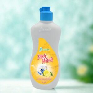Dish Wash