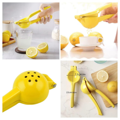 Squeezer Mini Blender